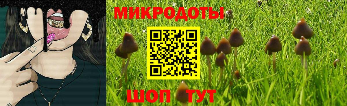 Псилоцибиновые грибы MAGIC MUSHROOMS  Вход с VPN  Красногорск  Псилоцибиновые грибы ЛСД 
